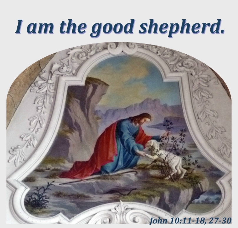 Do you know the shepherd?